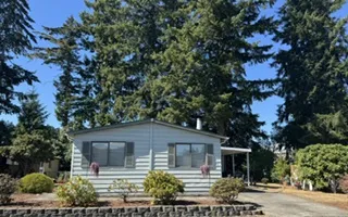 Lot 41